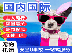 沙堤航空货运国际宠物托运 【国